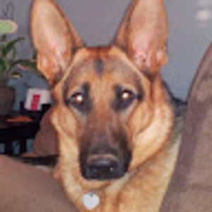 Meet your Posher, Laura